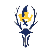 Chingford Cricket Club crest shown as an example of club customisation